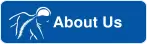 About-us-image-btn