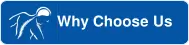 why choose us